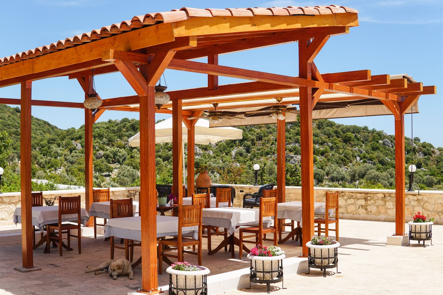 A table set under the wooden pergola